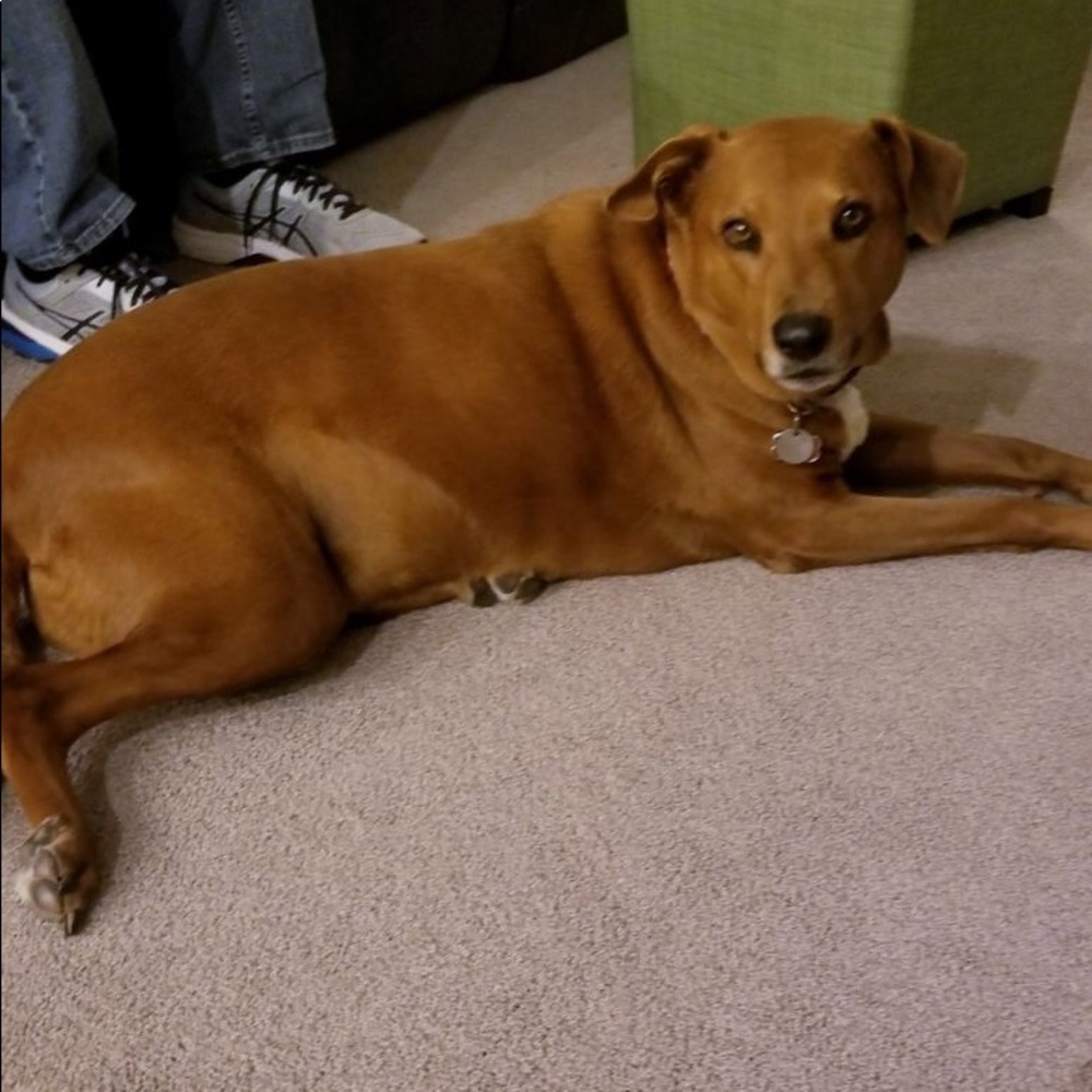 Meet your Posher, Rosemary